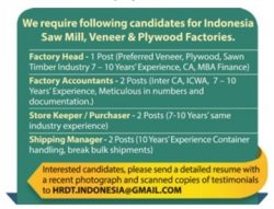 indonesia-saw-mill-veneer-and-plywood-factories-ad-times-ascent-delhi-12-07-2017