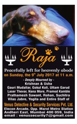 raja-dog-obituary-ad-times-of-india-mumbai-12-07-2017