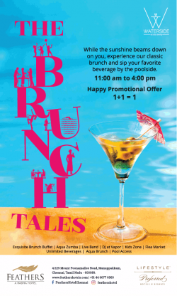Feathers The Bunch Tales Happy Promotional Offer Ad