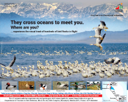 himachal-tourism-they-cross-oceans-to-meet-you-ad-times-of-india-delhi-16-11-2018.png