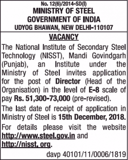 Ministry Of Steel Invites application for post of Director Ad in Times of India Mumbai