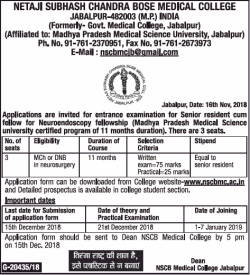 netaji-subhash-chandra-bose-medical-college-applications-are-invited-ad-times-of-india-delhi-18-11-2018.png
