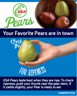 usa-pears-check-the-neck-for-ripness-ad-times-of-india-bangalore-25-11-2018.png