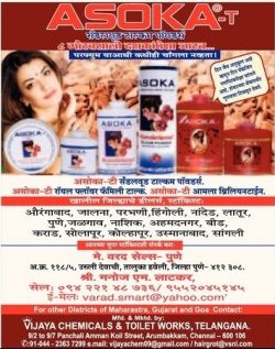 vijaya-chemicals-and-toilet-work-telangana-ad-lokmat-mumbai-25-11-2018.jpg