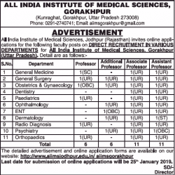 all-india-institute-of-medical-sciences-requires-professor-ad-times-of-india-bangalore-28-12-2018.png