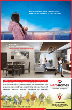 hero-homes-2-and-3-bhk-homes-ad-delhi-times-15-12-2018.png