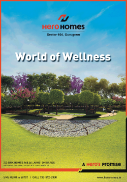 hero-homes-world-of-wellness-ad-delhi-times-21-12-2018.png