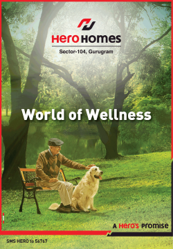 hero-homes-world-of-wellness-ad-times-of-india-delhi-30-11-2018.png