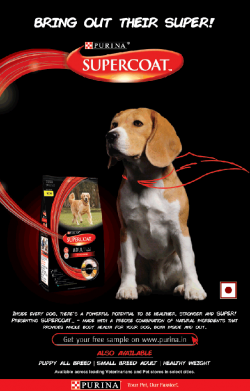 purina-supercoat-bring-out-their-super-ad-times-of-india-delhi-09-12-2018.png