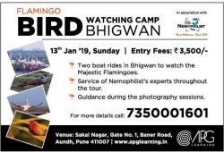 apg-learing-flamingo-bird-watching-camp-bhigwan-ad-sakal-mumbai-03-01-2018.jpg