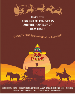 don-pepe-chennaias-first-authentic-mexican-restaurant-ad-times-of-india-chennai-30-12-2018.png