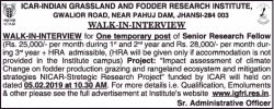 icar-indian-grassland-and-fodder-research-institute-requires-senior-research-fellow-ad-times-of-india-delhi-13-01-2019.png
