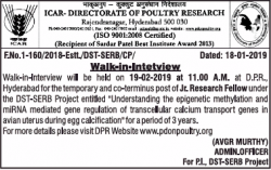 icr-directorate-of-poultry-research-requires-jr-research-fellow-ad-times-of-india-hyderabad-22-01-2019.png