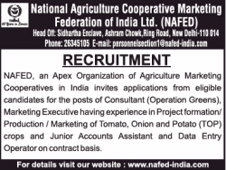national-agriculture-cooperative-marketing-federation-of-india-ltd-requires-consultant-ad-times-ascent-delhi-02-01-2019.png
