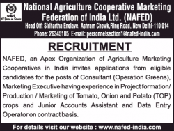 national-agriculture-cooperative-marketing-federation-of-india-recruitment-consultant-ad-times-ascent-bangalore-02-01-2019.png