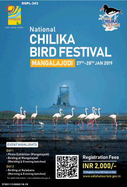national-chilika-bird-festival-mangalajodi-27th-to-28th-jan-ad-times-of-india-mumbai-13-01-2019.png
