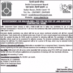 delhi-contonment-board-requires-land-surveyor-ad-times-of-india-delhi-10-02-2019.png