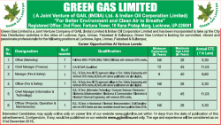 green-gas-limited-requires-officer-marketing-ad-times-ascent-delhi-30-01-2019.png