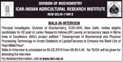icar-indian-agricultural-reesrach-institute-requires-junior-research-fellow-ad-times-of-india-delhi-13-02-2019.png