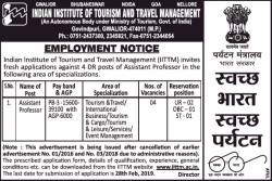 indian-institute-of-toursim-and-travel-management-requires-assistant-professor-ad-times-of-india-bangalore-01-02-2019.png