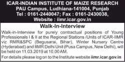 icar-indian-institute-of-maize-research-requires-young-professionals-ad-times-of-india-hyderabad-21-02-2019.png