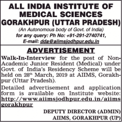 all-india-institute-of-medical-sciences-gorakhpur-requires-non-academic-junior-resident-ad-times-of-india-delhi-08-03-2019.png