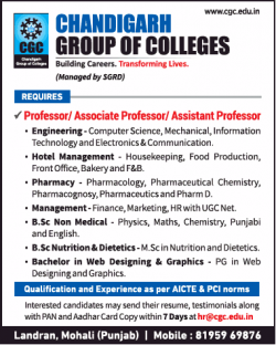 chandigarh-group-of-colleges-requires-professor-ad-times-ascent-delhi-27-03-2019.png