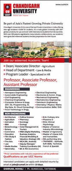 chandigarh-university-requires-professor-ad-times-ascent-delhi-13-03-2019.png