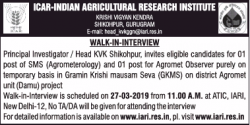 icar-indian-agricultural-research-institute-requires-principal-investigator-ad-times-of-india-delhi-07-03-2019.png