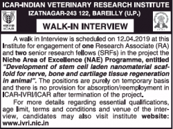 icar-indian-veterinary-research-institute-walk-in-interview-ad-times-of-india-delhi-27-03-2019.png