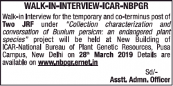 icar-nbpgr-walk-in-interview-for-two-jrf-ad-times-of-india-delhi-12-03-2019.png