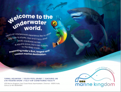 marine-kingdom-tunnel-aquarium-touch-pool-exhibit-ad-times-of-india-chennai-23-04-2019.png