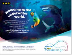 marine-kingdom-welcome-to-the-underwater-world-ad-chennai-times-27-04-2019.png