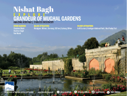 j-and-k-tourism-nishat-bagh-explore-grandeur-of-mughal-gardens-ad-times-of-india-delhi-11-06-2019.png