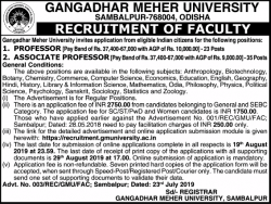 gangadhar-meher-university-recruitment-of-faculty-ad-times-of-india-delhi-24-07-2019.png