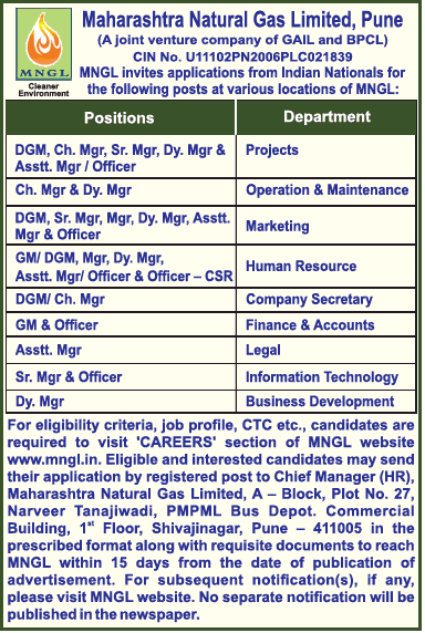 maharastra-natural-gas-limited-requires-sr-manager-ad-times-ascent-delhi-24-07-2019.png