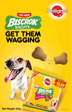 pedigree-try-new-biscrok-biscuits-get-them-wagging-ad-delhi-times-02-08-2019.png