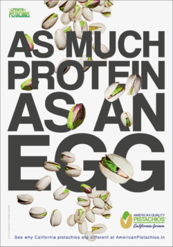 american-quality-pistachios-as-much-protein-as-an-egg-ad-times-of-india-delhi-01-09-2019.png