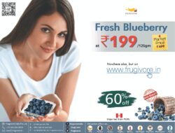 furgivore-fresh-bluberry-at-rs-199-imported-from-peru-ad-toi-delhi-6-11-2020
