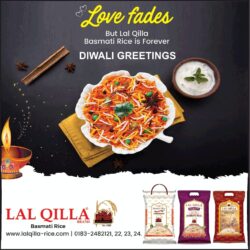 lal-qilla-love-fades-but-lal-qilla-basmati-rice-is-forever-diwali-greetings-ad-toi-delhi-14-11-2020
