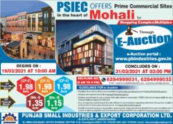 punjab-small-industries-and-export-corporation-ltd-e-auction-ad-times-of-india-delhi-19-03-2021